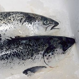 新發(fā)地三文魚案板檢測出新冠病毒，，北京多家超市連夜下架三文魚，北京新增三個(gè)病例